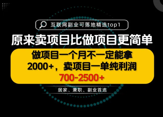 一单利润700-2.5K+,为什么我们要卖项目而不是做项目,我们普通人应该怎样开始?【揭秘】-海桐网创