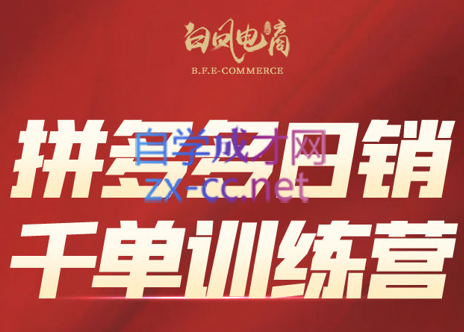白凤电商·拼多多日销千单训练营(更新4月)-云网创