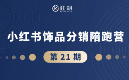 盗坤·抖音小红书视频号短视频带货与直播变现(11-21期)【更新】-云网创