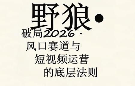 野狼团队·多平台实操运营课(更新4月)-云网创
