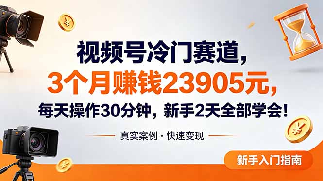 视频号冷门赛道，3个月变现23905元，新手2天学会 每天操作30分钟！-云网创