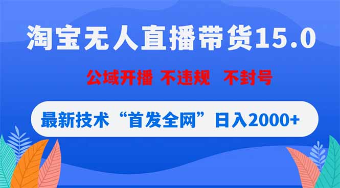 淘宝无人直播带货15.0，不封号，不违规，公域玩法，首发全网日入2000+-云网创