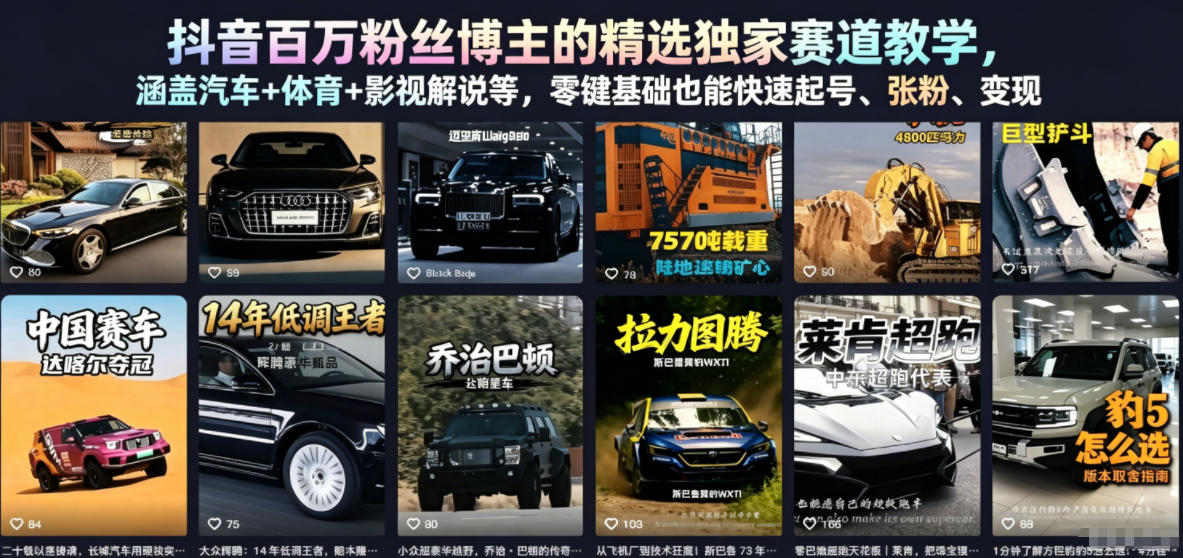 抖音百万粉丝博主的精选独家赛道教学,涵盖汽车+体育+影视解说等,零基础也能快速起号、涨粉、变现-云网创