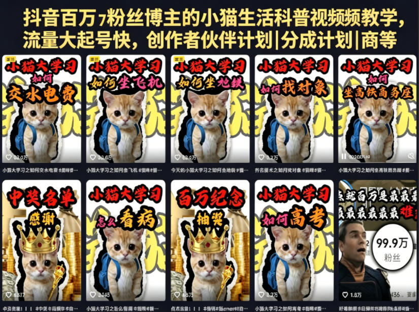 抖音百万粉丝博主的小猫生活科普视频教学，流量大起号快，创作者伙伴计划|分成计划|商单|收徒等-云网创