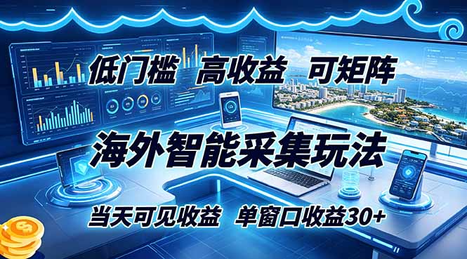 海外智能采集玩法，低门槛高单价可矩阵，当天可见收益，单窗口30+-云网创