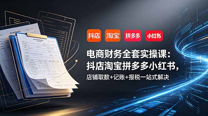 电商财务全套实操课：抖店淘宝拼多多小红书，店铺取数+记账+报税一站式解决-云网创
