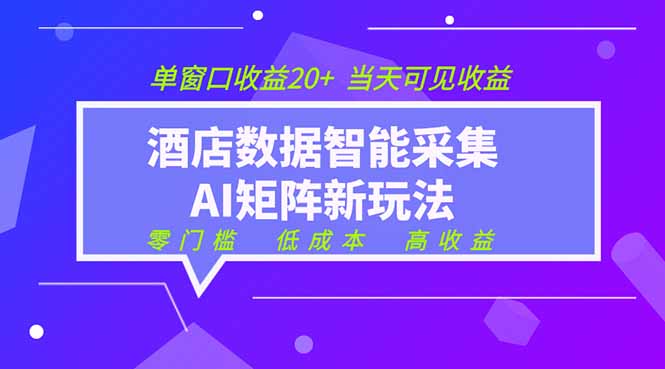 2026酒店数据采集ai智能矩阵新风口  低成本   高收益   当天见收益   单窗口20+-云网创