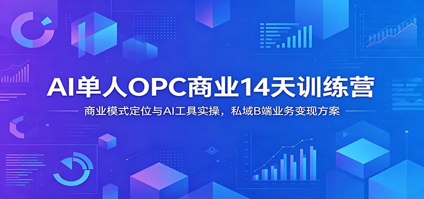 AI单人OPC商业14天训练营：商业模式定位与AI工具实操，私域B端业务变现方案-云网创