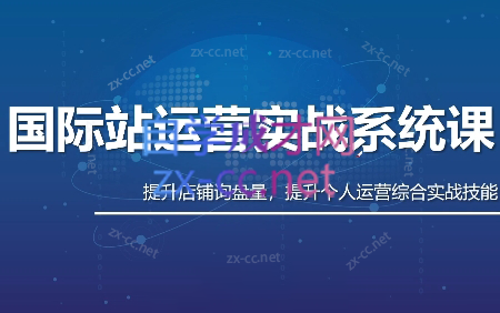 白老师·国际站运营实战系统(高质量询盘增长课)(更新)-海桐网创