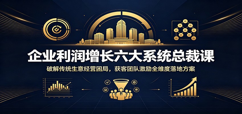 企业利润增长六大系统总裁课：破解传统生意经营困局，获客团队激励全维度落地方案-海桐网创