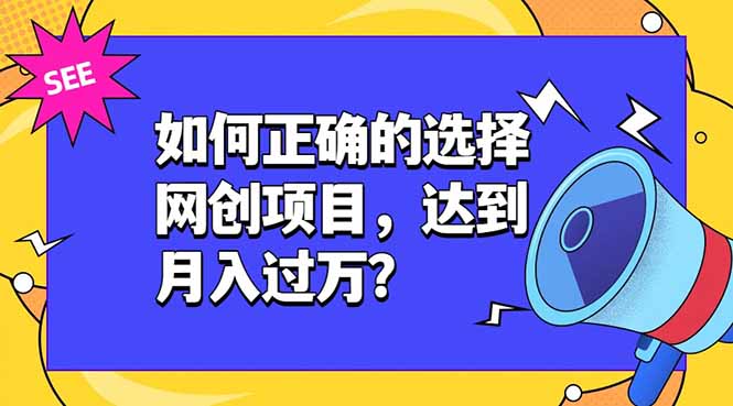 如何正确的选择网创项目，达到月入过万？，本课程教你正确选择项目。-海桐网创