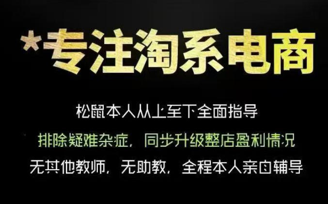 松鼠会电商VIP课程,从基础布局到高阶优化,助你掌握淘宝运营逻辑,提升店铺流量与转化(更新0703)-海桐网创