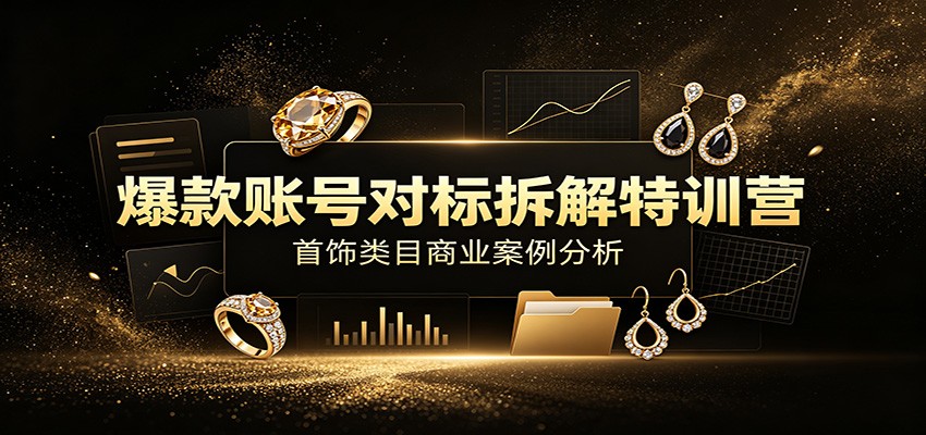 爆款账号对标拆解特训营：首饰类目商业案例分析，配套完整资料内容-海桐网创