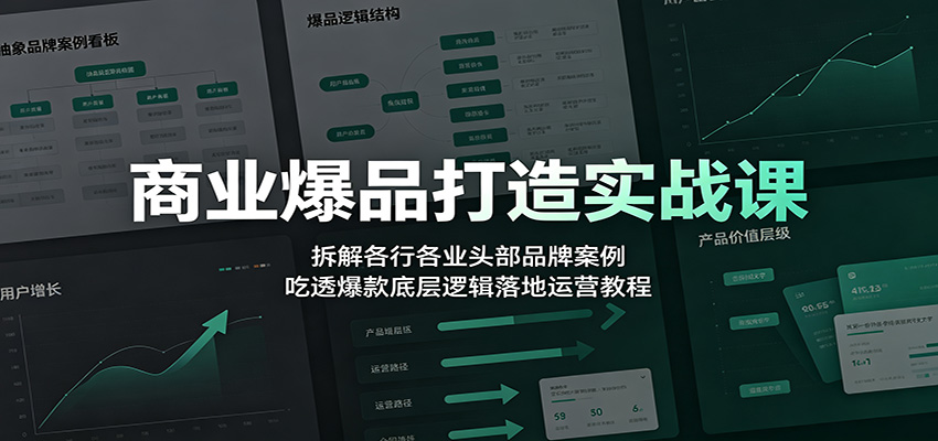 商业爆品打造实战课：拆解各行各业头部品牌案例，吃透爆款底层逻辑落地运营教程-海桐网创