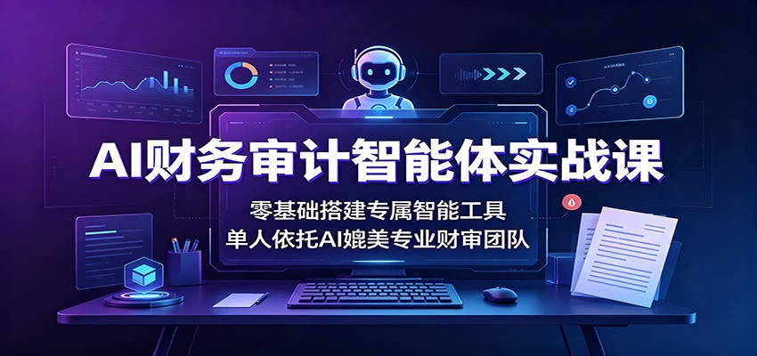 AI财务审计智能体实战课：零基础搭建专属智能工具，单人依托AI媲美专业财审团队-海桐网创