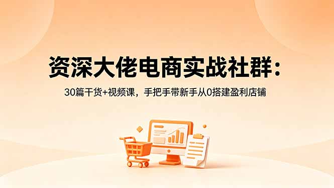 资深大佬电商实战社群:30篇干货+视频课,手把手带新手从0搭建盈利店铺-海桐网创
