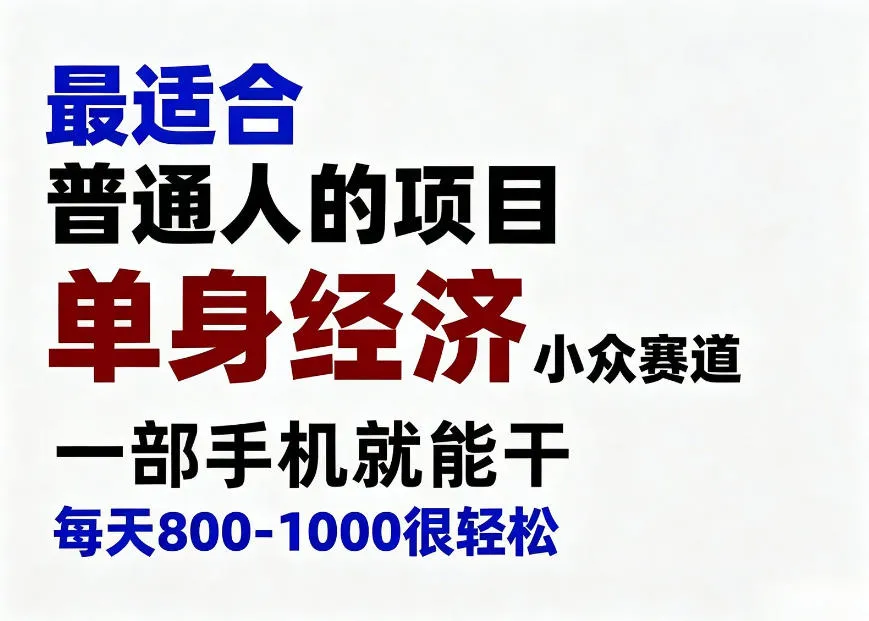 身经济小众赛道，一部手机就能干，每天搞个800-1000很轻松，最适合普通人的项目【揭秘】-海桐网创