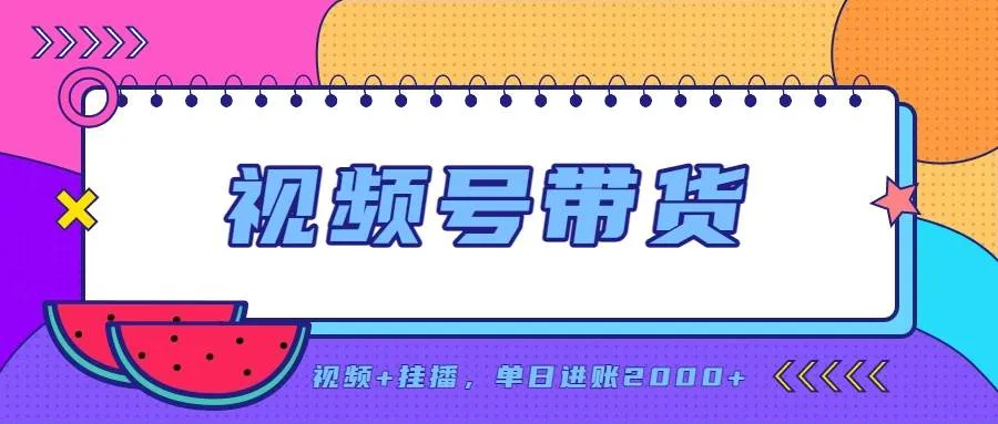 （20344期）日入2000+的副业，视频号带货，一部手机改写人生篇章，无需投资-海桐网创