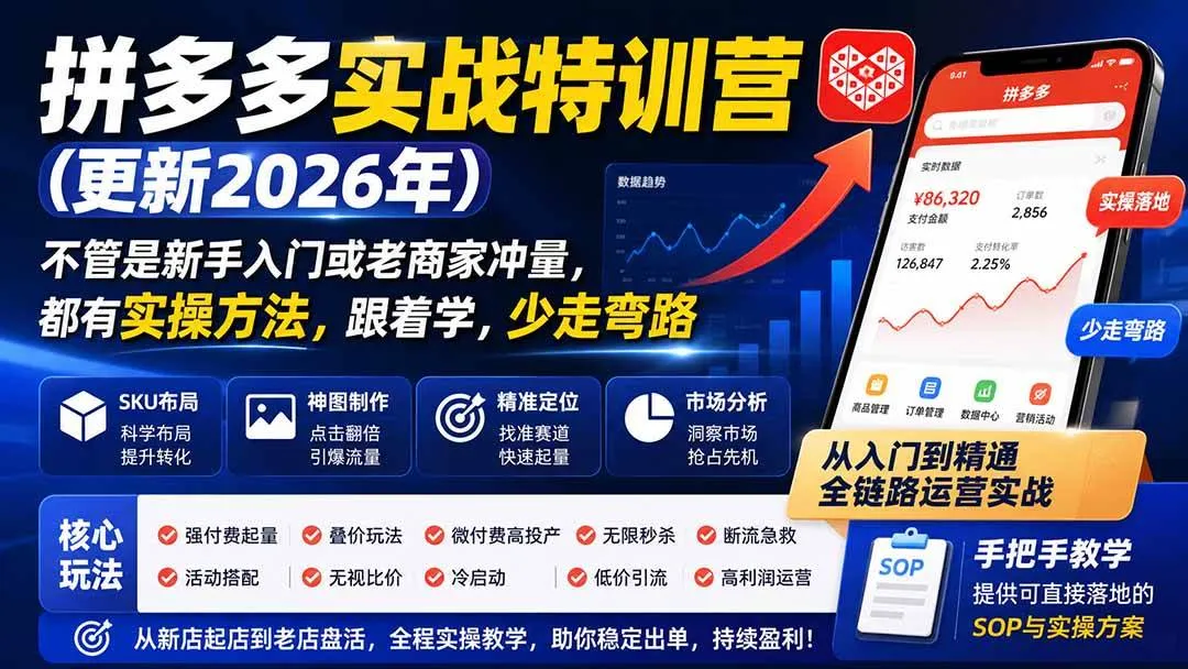 (20092期)拼多多实战特训营(更新26年0827):不管是新手入门或老商家冲量,都有实操方法,跟着学,少走弯路-海桐网创